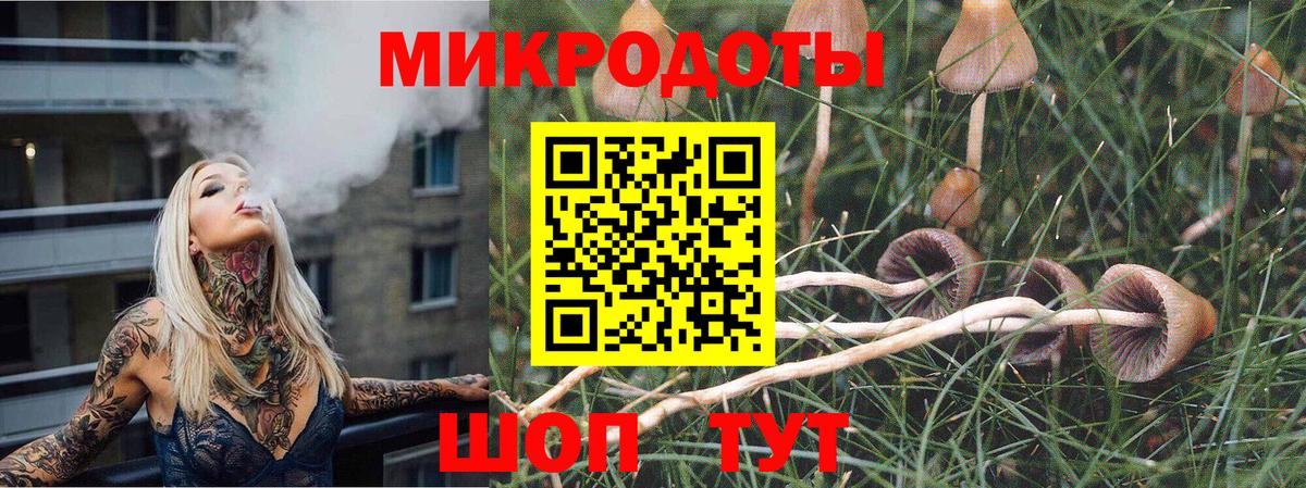 Псилоцибиновые грибы Cubensis  Вход с VPN  Туймазы 