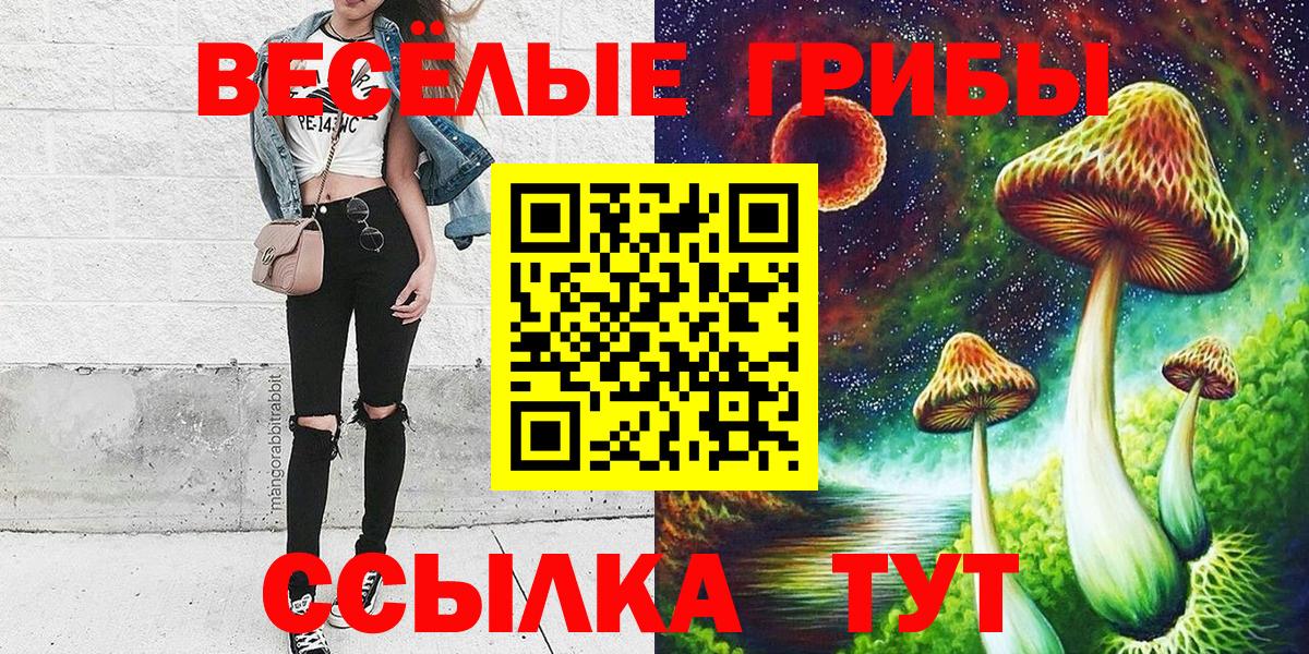Галлюциногенные грибы GOLDEN TEACHER Туймазы